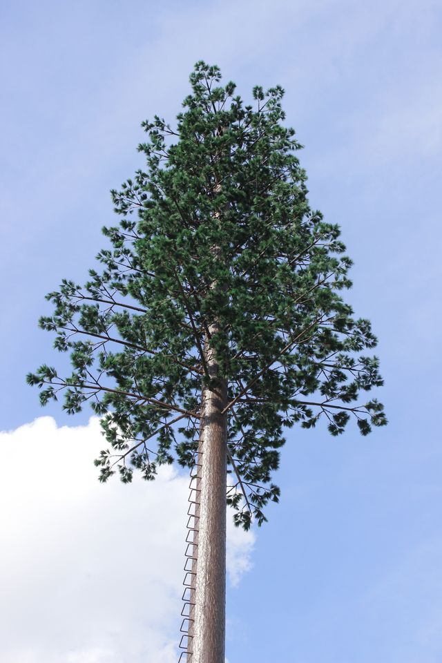 cột anten cây thông